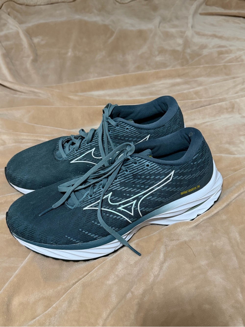Mizuno Men’s Wave Rider 25 Running Shoes Size 10